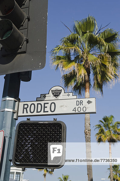 Amerika Baum fahren Straße Zeichen Hintergrund Palme Verbindung Kalifornien Rodeo Signal