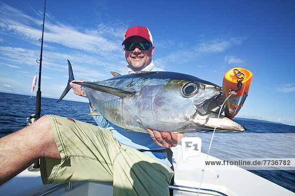 Man holds a fresh caught yellowfin tuna  panama