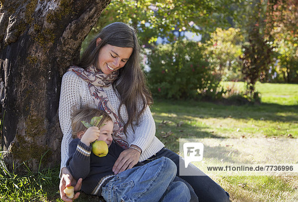A mother and her young son sit under a heritage apple tree on a farm  british columbia canada