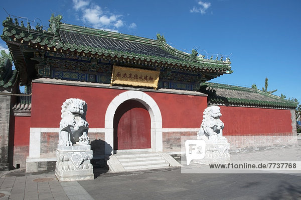 Lion statues outside a red wall and building with chinese architecture in the hutong area Beijing china