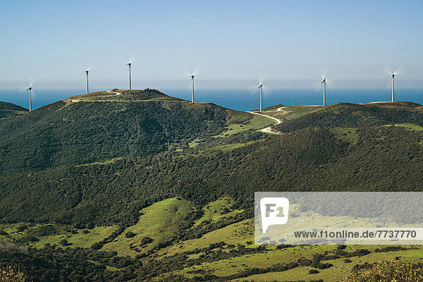 Wind turbines in a row along the water's edge Tarifa cadiz andalusia spain