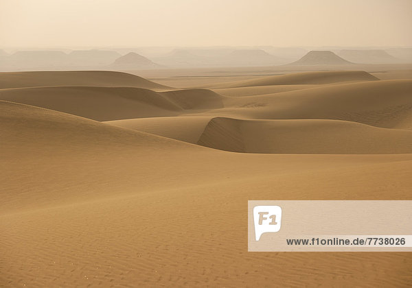 Weite Wüstenlandschaft  Sanddünen  Sahara  Ägypten