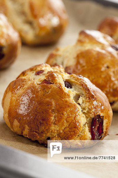 Cranberry Scones auf Backblech Nahaufnahme