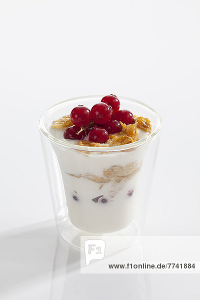 Glas Joghurt mit Müsli  Cornflakes und roten Johannisbeeren auf weißem Grund  Nahaufnahme