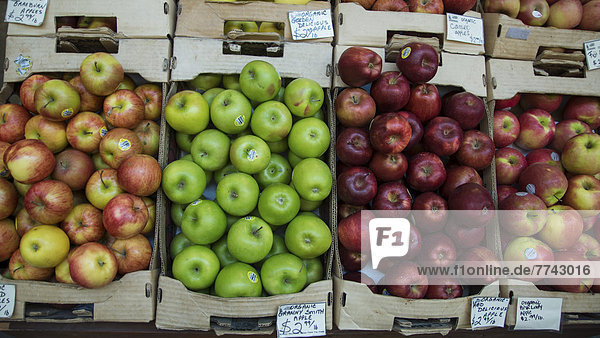 USA  Kalifornien  San Francisco  Apfelsorten in Kisten auf dem Markt
