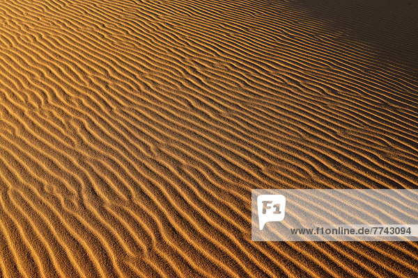 Algerien  Blick auf Sanddünen am Erg Mehejibad