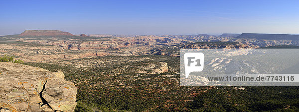 USA  Utah  Blick auf den Canyonlands Nationalpark