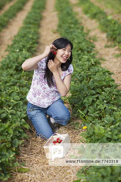 Junge Japanerin pflückt Erdbeeren auf dem Feld