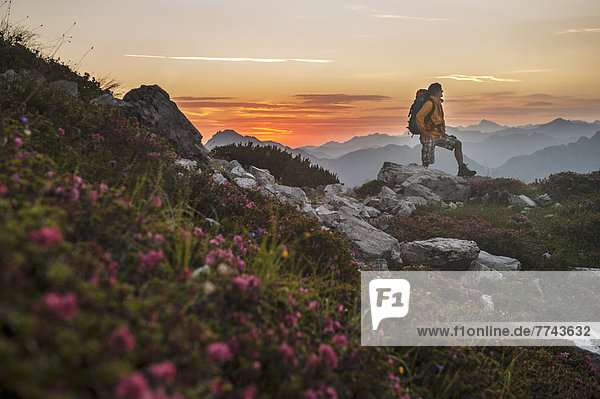 Austria  Salzburg Country  Man hiking through Niedere Tauern mountains at sunrise