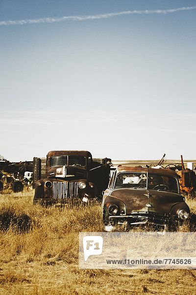 Canada  Junk yard with old US cars
