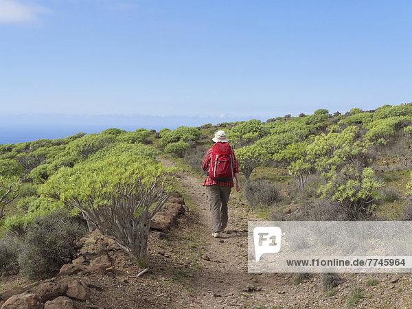 Spain  La Gomera  Mature woman hiking through Euphorbia shrubs at La Merica mountain