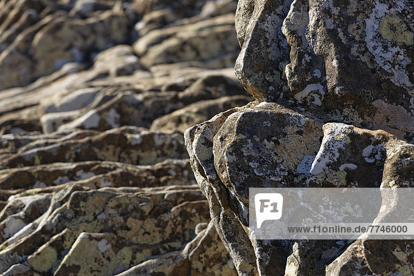 Spanien  La Gomera  Blick auf Felsen mit Flechten im Nationalpark Garajonay