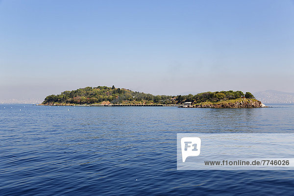Türkei  Istanbul  Blick auf die Insel Kasik Adasi mit Marmarameer