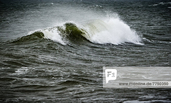 Nordseewelle vor Hörnum  Sylt  Schleswig-Holstein  Deutschland