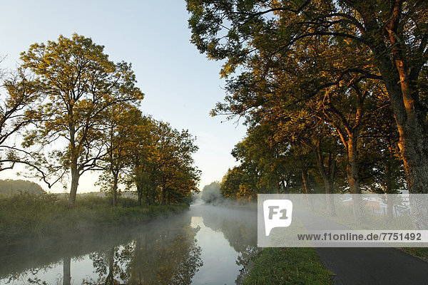 Canal des Vosges  früher Canal de l?Est  bei PK 88  Scheitelhaltung des Kanals  Morgenstimmung mit Morgennebel