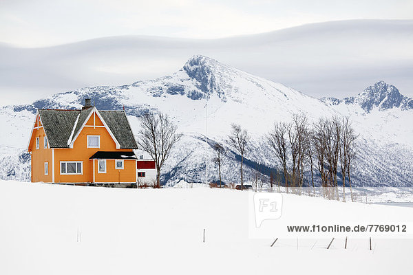 Orange house in a northern winter landscape