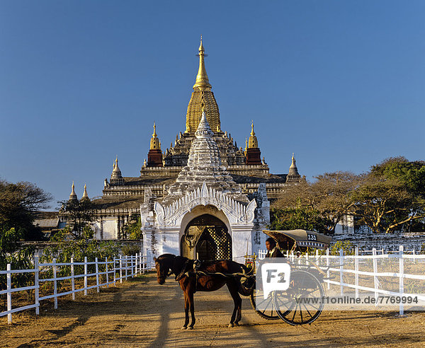Horse-drawn carriage in front of the Ananda Temple  gilded tower construction  Shikhara  porch