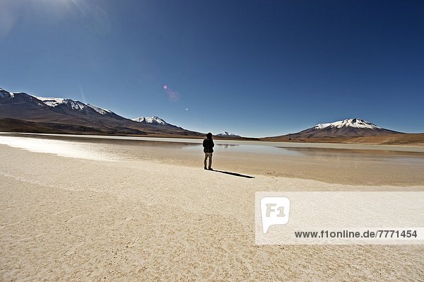 hoch  oben  Ecke  Ecken  See  Anden  Bolivien  Speisesalz  Salz  Südamerika