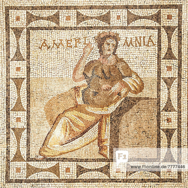 Mosaik aus dem Grab des Ameriminia  4. Jh. vor Chr.  Hatay Museum für Archäologie