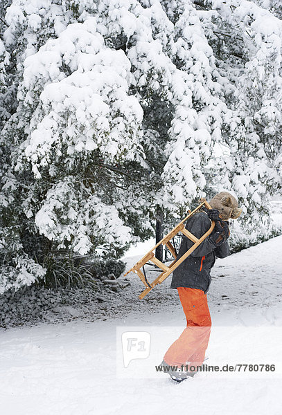Boy carrying wooden sled in snow