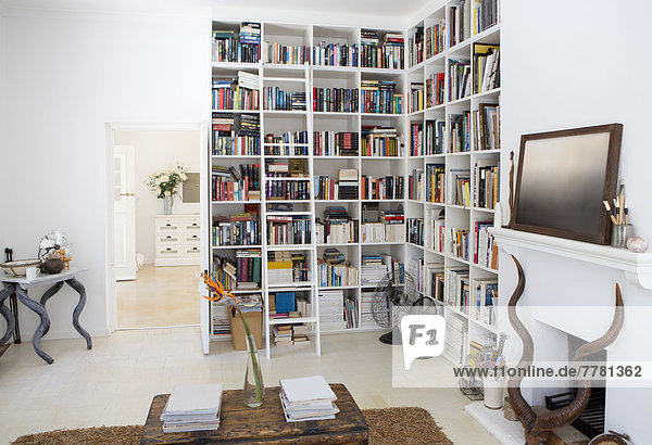 Bücherregale und Kamin im modernen Wohnzimmer