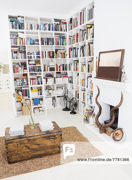 Bücherregale und Kamin im modernen Wohnzimmer