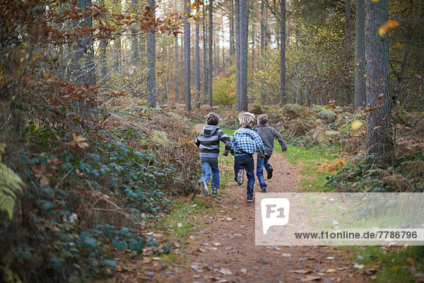 Boys running through forest