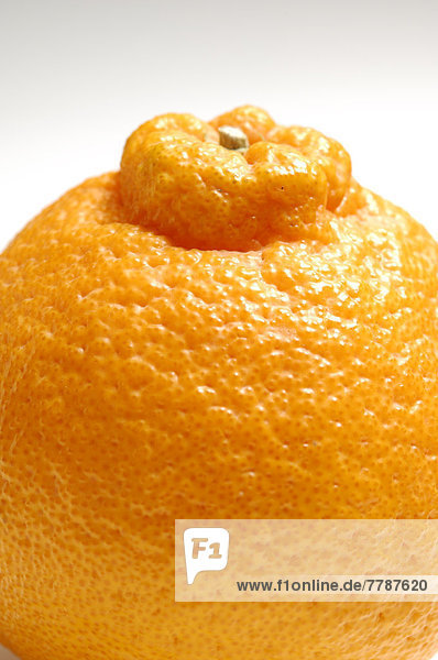 One orange
