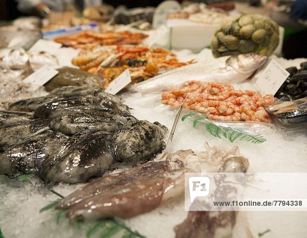 Assorted Fresh Seafood on Ice at a Fish Market in Barcelona Spain