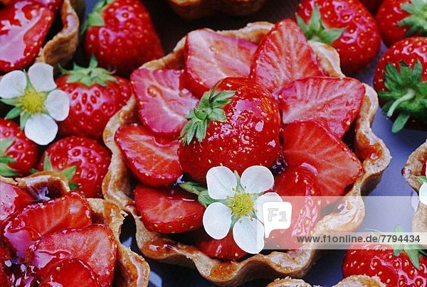Erdbeertörtchen mit Erdbeerblüten