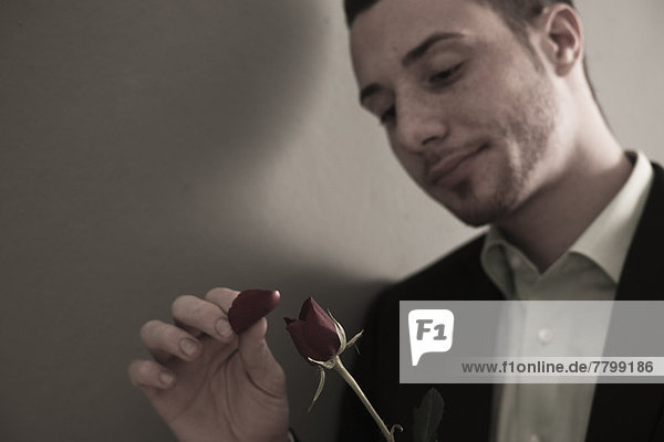 Studioaufnahme  Portrait  Mann  Blütenblatt  rot  jung  zupfen  Rose