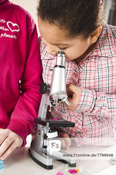 Girls Looking at Flower with Microscope in Classroom  Baden-Wurttemberg  Germany
