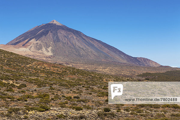 Landscape with vegetation typical of the Parque Nacional de las Cañadas del Teide Teide National Park UNESCO World Natural Heritage Site with Mount Teide volcano at the rear