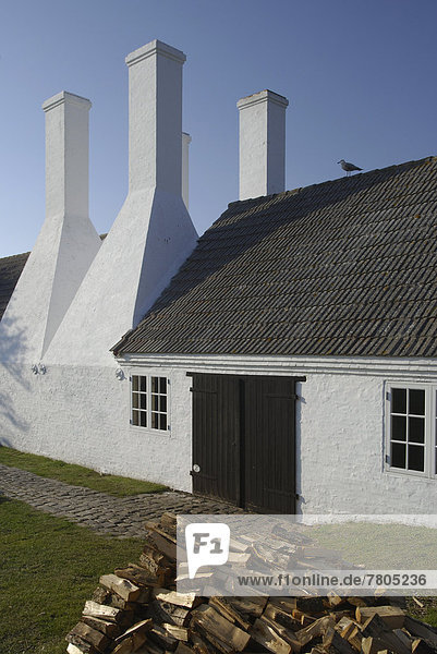 Four chimneys of a Bornholm herring smokehouse  stack of alder wood at the front
