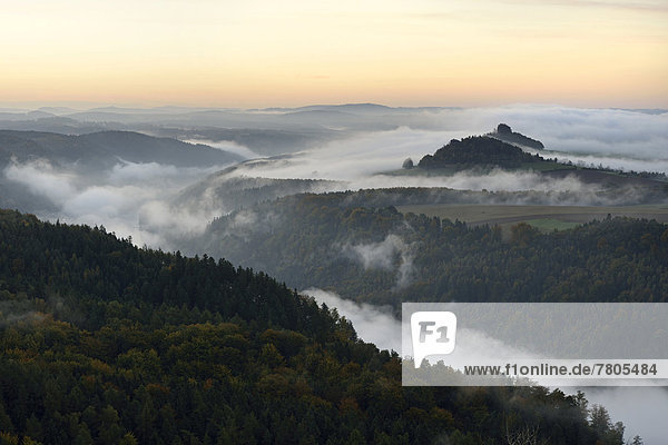 Fog over the Elbe Valley  Zirkelstein Mountain and Kaiserkrone Mountain at dawn