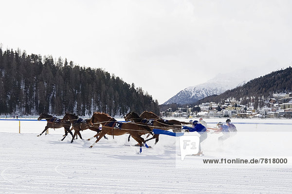Pferderennen auf einem zugefrorenen See  Skijöring