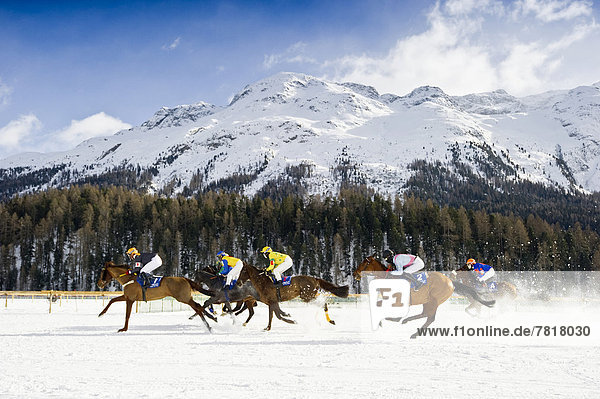 Horse racing on a frozen lake
