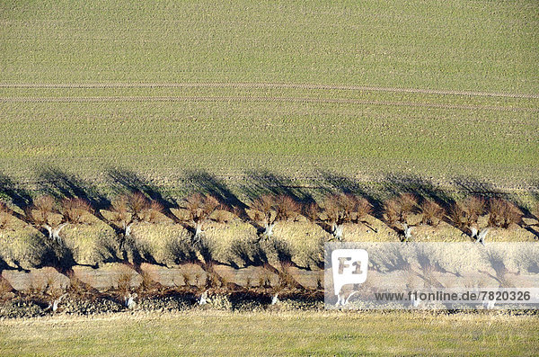 Aerial view  Feston Avenue  near Schloss Bothmer Castle