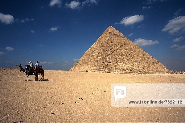 Africa  Egypt  Cairo  Giza  the Chephren Pyramid and camel riders                                                                                                                                   