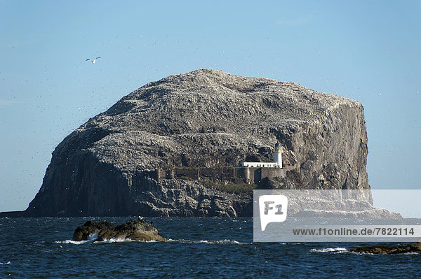 Bass Rock or The Bass  bird island