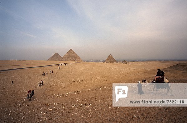 Egypt  Cairo. Giza Pyramids  Cheops Chepren and Mycerinus and camel rider                                                                                                                           