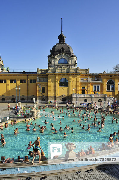 Spring Pool Hungary EU, Gyozo Czigler, Szechenyi Baths, Szechenyi Gyogyfürdo, Varosliget ...