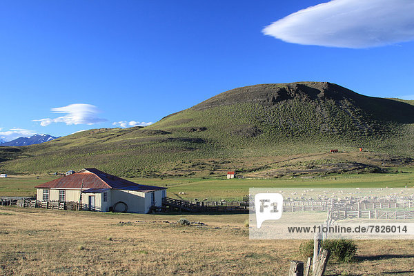 Landschaft  Landwirtschaft  Bauernhof  Hof  Höfe  Torres del Paine Nationalpark  Chile  Patagonien  Ranch  Südamerika