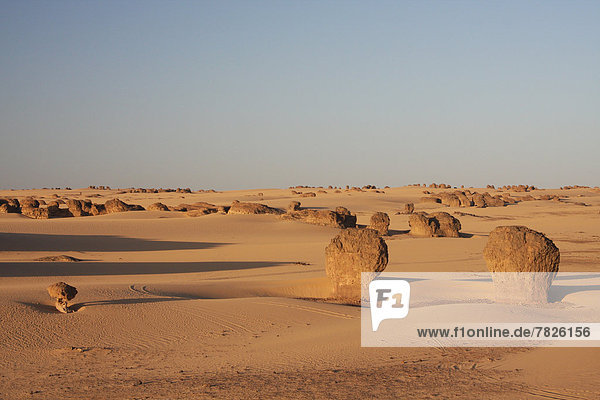Nordafrika  Felsformation  Felsbrocken  Abend  Wüste  Natur  Sand  Sahara  Abenddämmerung  Afrika  Algerien  Tuareg