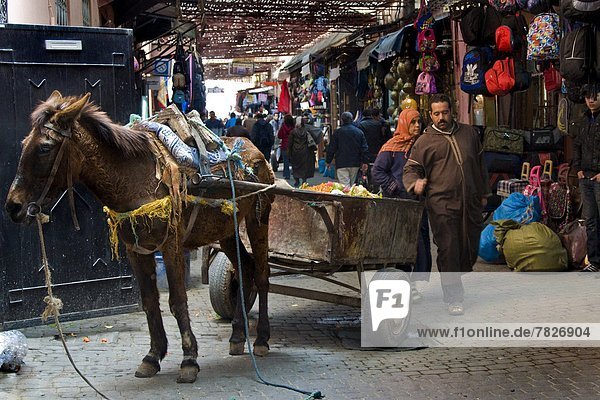Morocco  Marrakech  Souk  Daily life                                                                                                                                                                