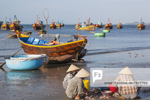 Fisch  Pisces  Frau  Strand  Handel  Hut  Küste  Meer  angeln  Fischer  Asien  Fischerboot  Mui Ne  Vietnam