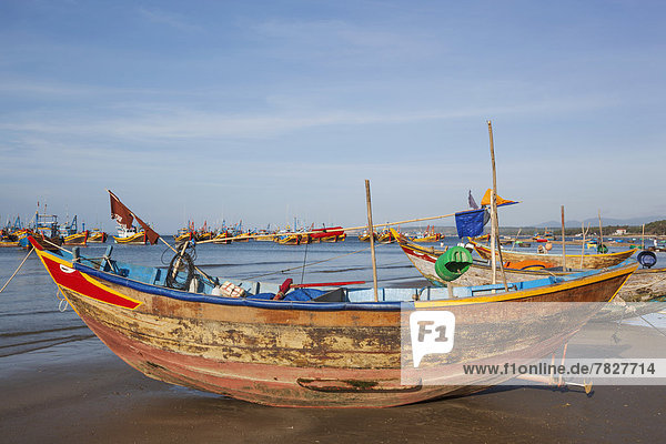 Fisch  Pisces  Strand  Küste  Boot  Meer  angeln  Fischer  Asien  Fischerboot  Mui Ne  Vietnam