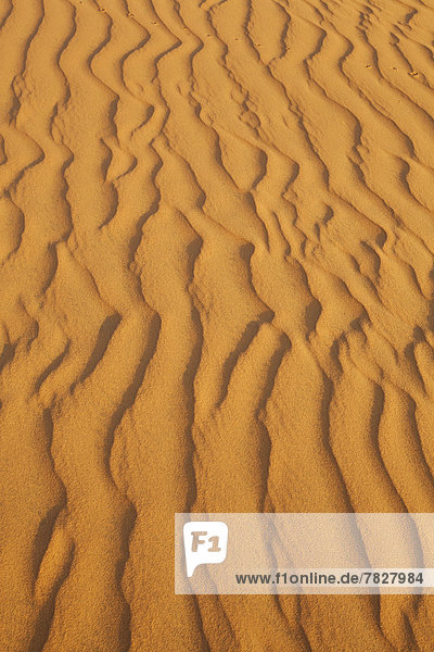 Muster  Grafik  Wüste  Sand  Düne  Asien  Mui Ne  Schnittmuster  Vietnam