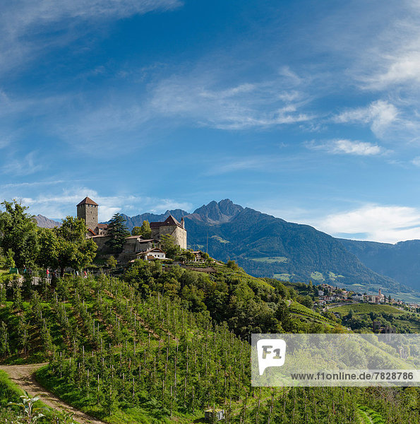 Trentino Südtirol  Europa  Berg  Palast  Schloß  Schlösser  Landschaft  Hügel  Dorf  Herbst  Tirol  Italien