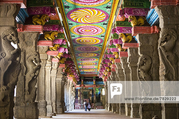 India  South India  Asia  Tamil Nadu  Madurai  Sri Meenakshi  Temple  Thousand  Pillars  Hall  art  big  famous  ceiling  colourful  corridor  Dravidian  interior  temple